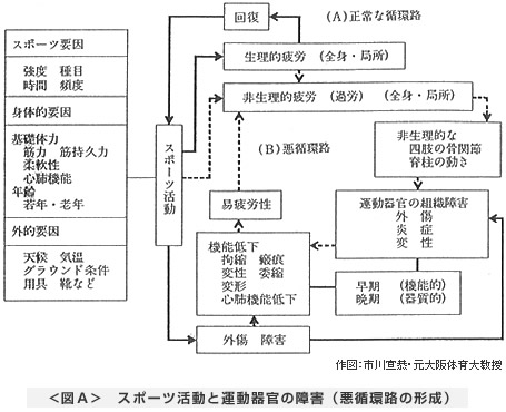 ＜図A＞　スポーツ活動と運動器官の障害（悪循環路の形成）