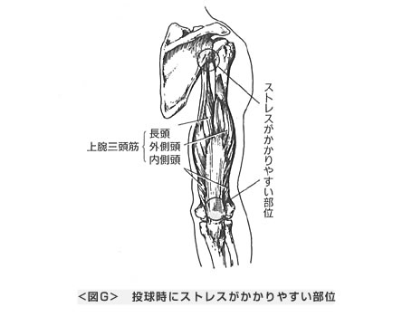 投球時にストレスがかかりやすい部位