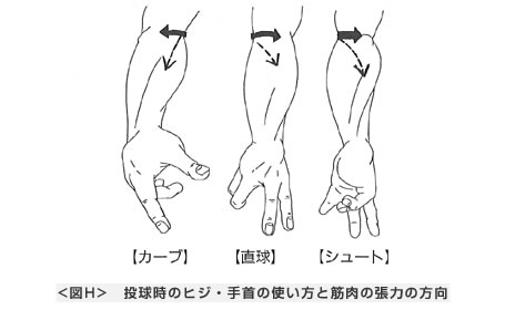 投球時のヒジ・手首の使い方と筋肉の張力の方向