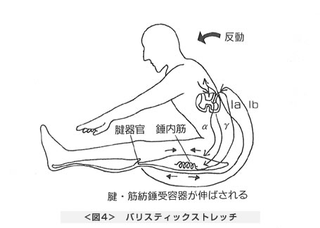 バリスティックストレッチ