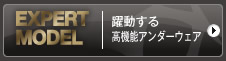 エキスパートモデル